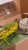589A1DAD-CB67-4D33-B2B2-78921B7C1CAF.jpeg