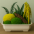 4EE22BA5-7805-43FF-9A52-3E4809551E02.png